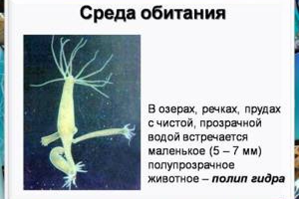 Как вернуть аккаунт кракен
