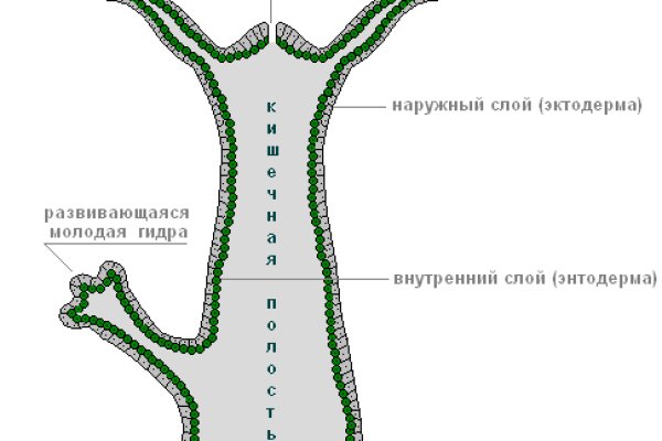 Ссылка кракен cc